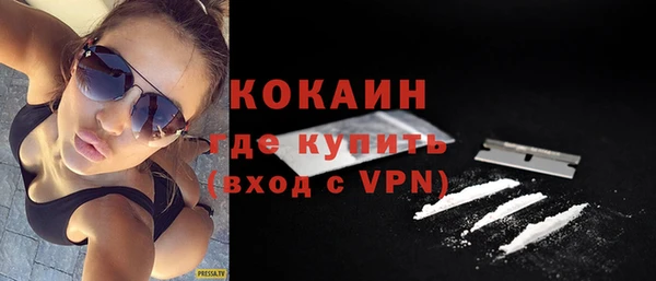 гашик Алексин