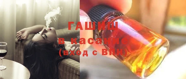 гашик Алексин