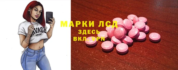гашик Алексин