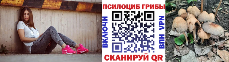 Псилоцибиновые грибы ЛСД  купить наркоту  Ардон 